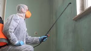 Best Mold Remediation for Healthcare Facilities  in Village Of The Branch, NY